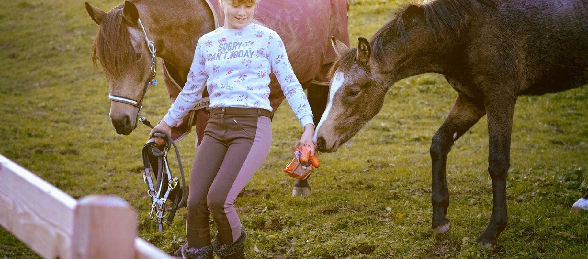 escursioni_cavallo