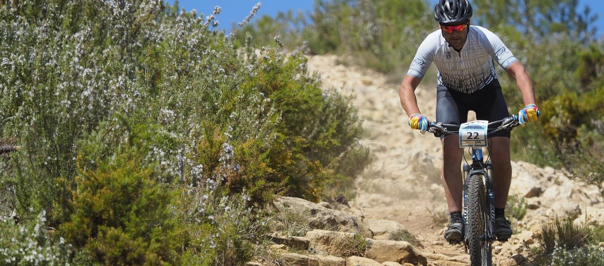 mountain_bike